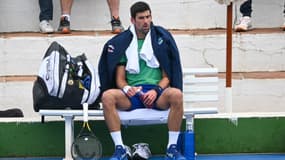 Novak Djokovic, à Marbella (Espagne) le 3 janvier 2022