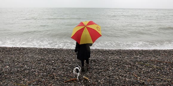 Les températures ont été clémentes en janvier.