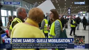 Une trentaine de gilets jaunes mobilisée à l'aéroport de Paris-Charles de Gaulle contre la privatisation d'ADP