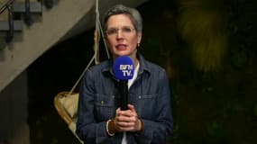Sandrine Rousseau, députée EELV, le 25 janvier 2023 sur BFMTV.