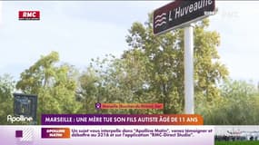 Marseille: une mère tue son fils autiste âgé de 11 ans 