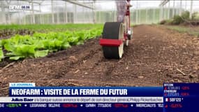 Neofarm : visite de la ferme du futur 