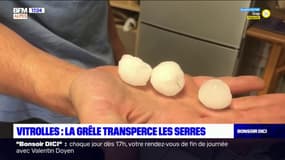 Vitrolles: la grêle transperce les serres en plastique 