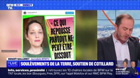 Marion Cotillard critiquée sur les réseaux sociaux après son soutien aux Soulèvements de la Terre
