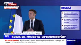 Normes agricoles: Emmanuel Macron souhaite "des contrôles homogènes au niveau européen"