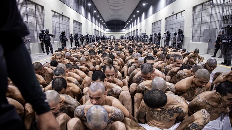 Des détenus au Centre de confinement du terrorisme (Cecot), la méga-prison ouverte début février au Salvador, le 15 mars 2023.