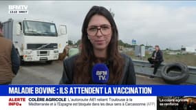 Une opération escargot sur l'autoroute A9 en direction de Montpellier est en cours de préparation