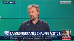 La Méditerranée chauffe à 28°C !