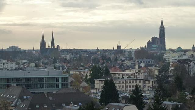 Strasbourg et Mulhouse font front commun