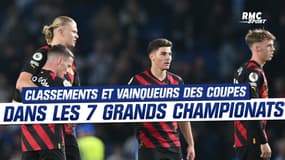 Les classements et vainqueurs des Coupes dans les 7 grands championnats