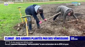 Vénissieux: planter des arbres pour sensibiliser les habitants au changement climatique