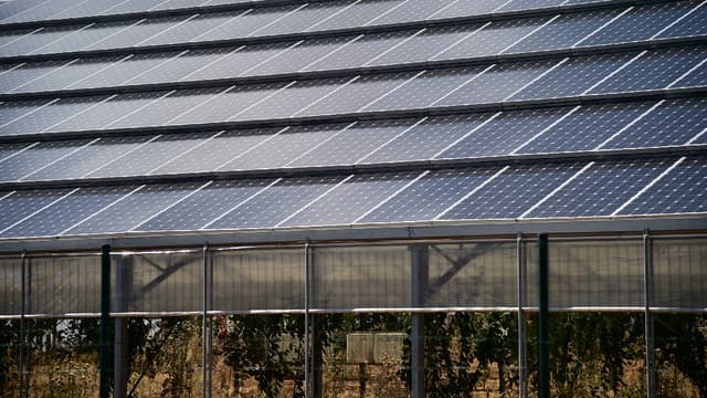 En Sardaigne, sous ces serres solaires devait être cultivé de l'aloès créant ainsi des emplois. Aujourd'hui, seules des mauvaises herbes sont présentes. 