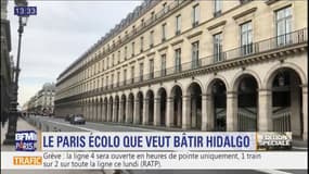 Les propositions d'Anne Hidalgo pour un Paris plus écolo