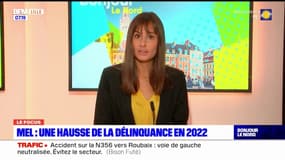 Métropole européenne de Lille: focus sur la hausse de la délinquance en 2022