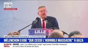 "La France est entrée dans une nouvelle saison dégagiste", affirme Jean-Luc Mélenchon, en marge de la braderie de Lille