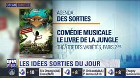 Sortir à Paris : La comédie musicale Le livre de la Jungle au théâtre des Variétés