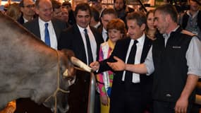 Le Salon de l'agriculture 2016 se tient dans un climat de tension. Nicolas Sarkozy est arrivé mercredi 2 mars à 9 heures