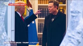 LIGNE ROUGE - Les dernières images d'Elon Musk, patron de Tesla et Donald Trump, président américain, ensemble 