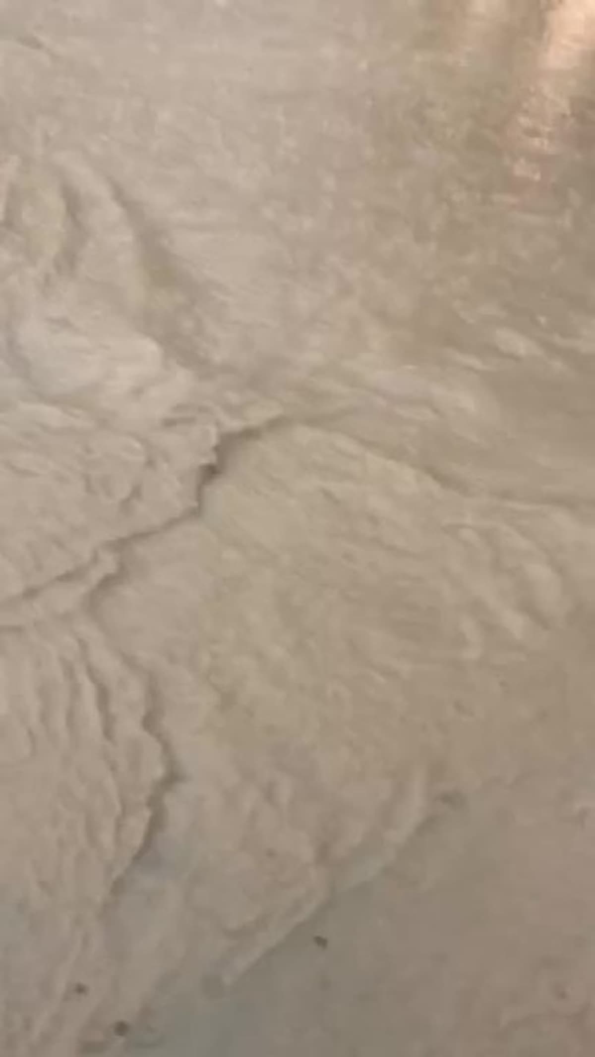 placeholder video