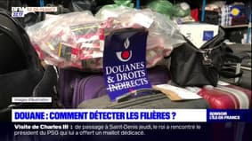 Flagrants Délits: les découvertes insolites des douaniers de l'aéroport de Roissy