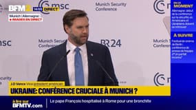 "Vous pouvez survivre à quelques mois d'Elon Musk", J.D. Vance à l'attention des dirigeants européens 