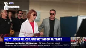 Viols de Mazan: comment la vie de Gisèle Pélicot a basculé 
