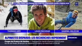 Hautes-Alpes: peu d'espoir de retrouver les trois alpinistes français disparus dans l'Himalaya