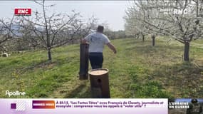 Un arboriculteur dans le Rhône