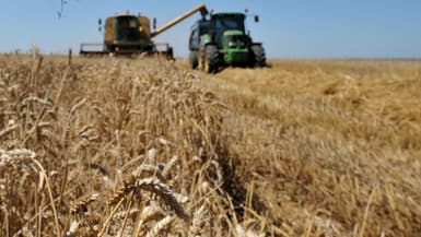 Le nouveau plan d'aide à l'agriculture devrait bénéficier en premier lieu aux céréaliers (illustration)