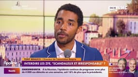 Interdire les ZFE: "La France n'est pas obligée de s'aligner sur ce qui se fait de pire ailleurs"