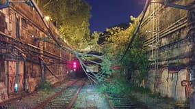 Un arbre sur les voies ferroviaires du RER C