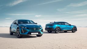 Avec 34,8% du marché, le groupe Stellantis confirme sa position de leader sur le marché français. 