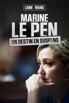 Marine Le Pen, la présidentielle à tout prix