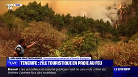 "J'ai vu l'horreur", témoigne cette touriste belge en vacances sur l'île de Tenerife, en proie aux flammes