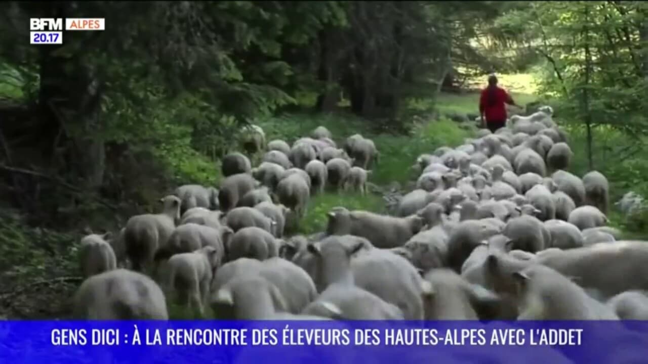 rencontre hautes alpes