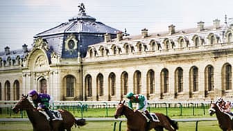 Les pronos hippiques du 20 juin 2021
