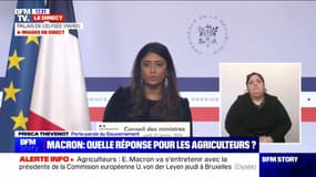 Mobilisation des agriculteurs: la porte-parole du gouvernement, Prisca Thevenot, annonce que "de nouvelles mesures seront prises dès demain"