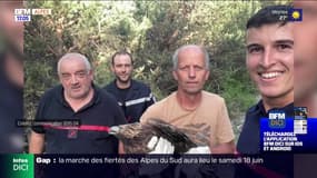 La Javie: les pompiers sauvent un aigle royal