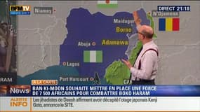 Harold à la carte: Ban Ki-Moon est favorable pour une force régionale africaine afin de combattre Boko Haram – 31/01