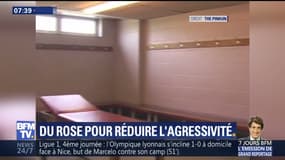 Football : du rose pour réduire l'agressivité de l'équipe adverse