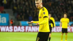 Haaland