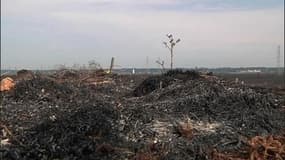 Ain: un incendie ravage 300 hectares