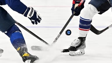 Hockey sur glace (image d'illustration)