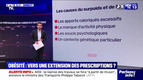 LES ÉCLAIREURS - Les chiffres de l'obésité en France