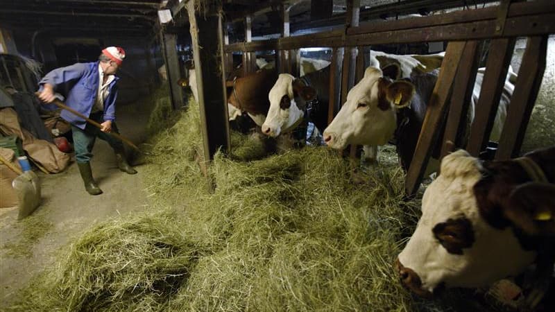 La France a menacé mercredi de rejeter le projet de budget pluriannuel de l'Union européenne pour 2014-2020 si les crédits de la politique agricole commune (PAC) n'étaient pas maintenus. /Photo d'archives/REUTERS/Denis Balibouse