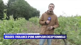 Orages : vigilance d'une ampleur exceptionnelle - 04/06