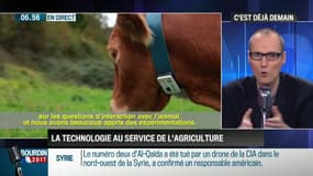 La chronique d'Anthony Morel : Le digital au service de l'agriculture - 02/03