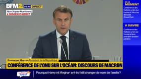 Le traité sur la haute mer "sera bien mis en œuvre" grâce à de nouveaux engagements de pays