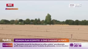 Réunion plan Ecophyto : 8 ONG claquent la porte