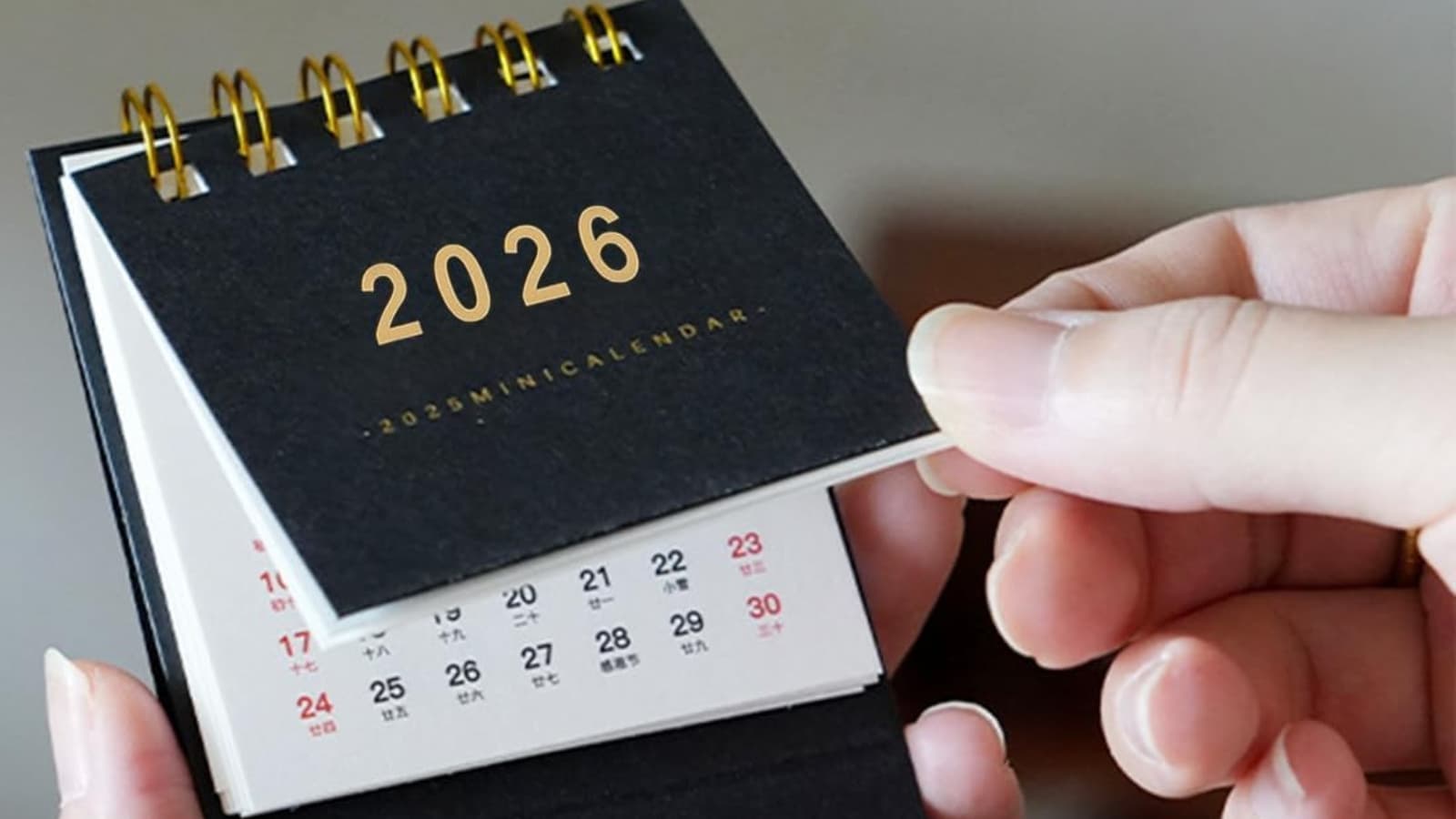 Amazon Haul Amazon Haul